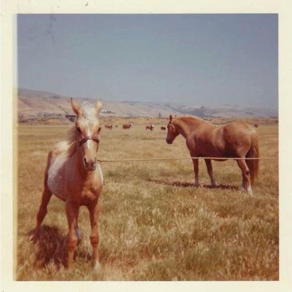 โกmeet your posher, dollface - Picture 5 of 7